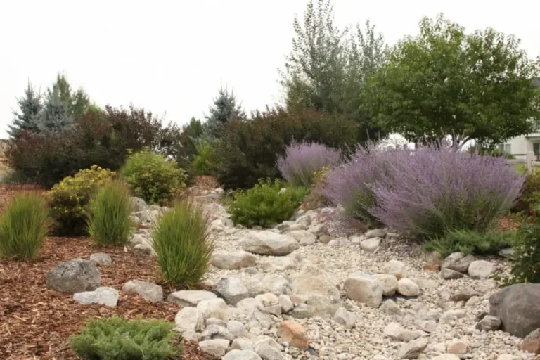 25 Inspiring Dry River Bed Landscaping Ideas