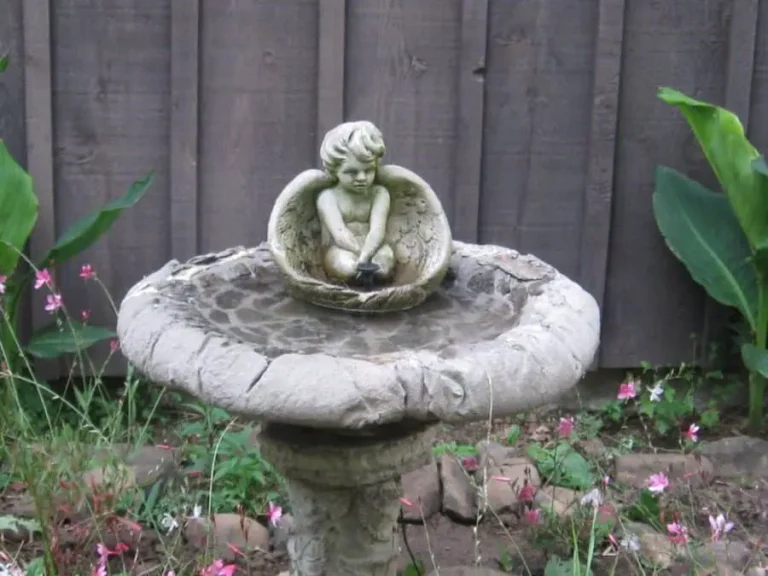 25 Stellar Bird Bath Ideas for Your Backyard