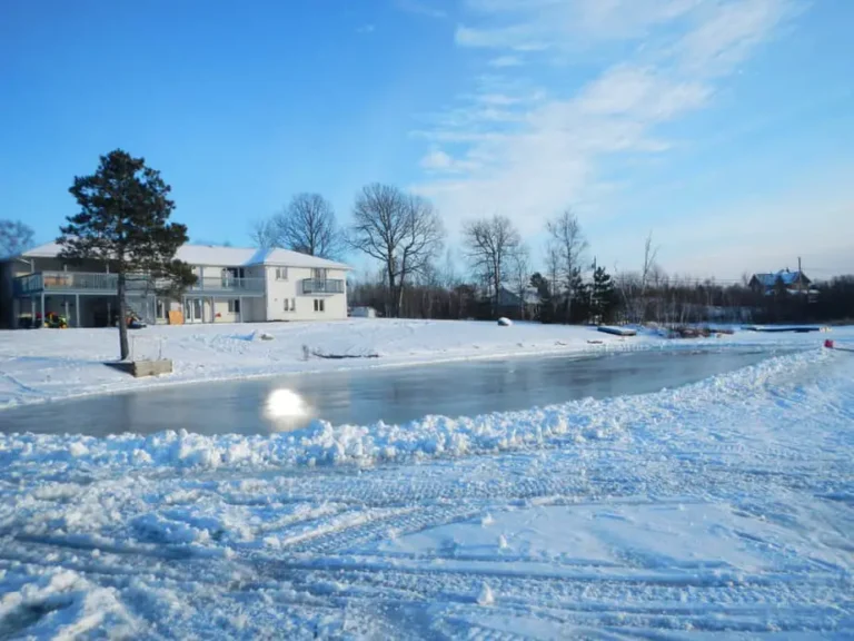 How To Make A Backyard Ice Rink