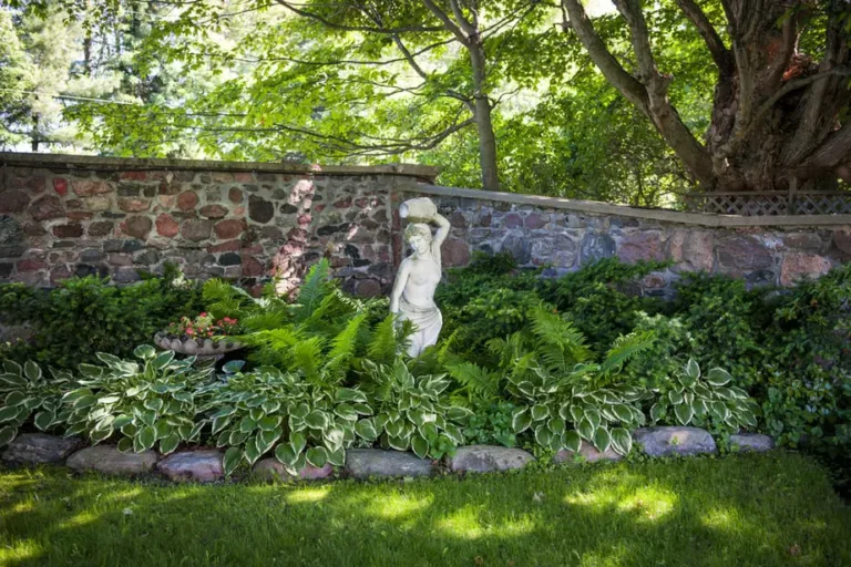 What to Plant in a Shady Backyard: 17 Shade-Loving Plant Ideas