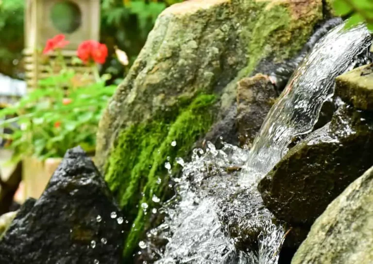 Backyard Waterfall: 21 Inventive Design Ideas