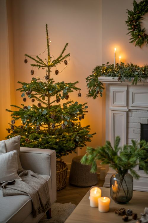 Living room decorated for Christmas with pinecones, eucalyptus, fresh garlands, and a cozy festive tree.