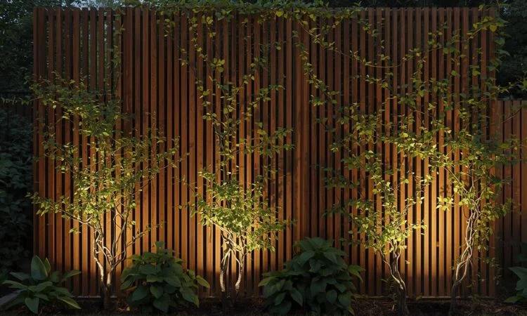 Backyard Privacy Screen Ideas That Block Views Without Breaking Budgets