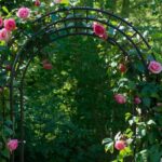 Outdoor alfresco ideas