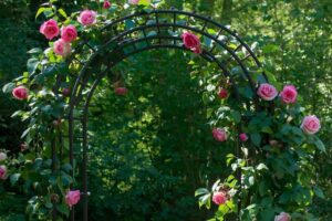 Outdoor alfresco ideas