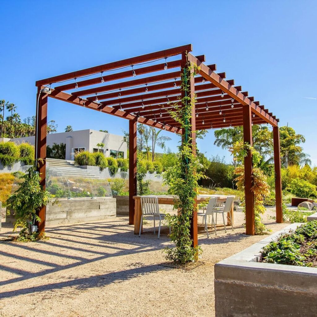 Pergola for Climbing Plants